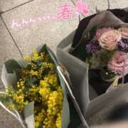 ヒメ日記 2026/03/08 12:55 投稿 山口 萌 プルプルオフィスディーバ