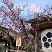 山口 萌 🌸三月の出勤予定🐝 プルプルオフィスディーバ