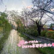 ヒメ日記 2026/03/29 01:01 投稿 山口 萌 プルプルオフィスディーバ