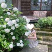 ヒメ日記 2026/04/11 11:01 投稿 山口 萌 プルプルオフィスディーバ