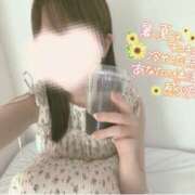ヒメ日記 2026/08/07 08:09 投稿 山口 萌 プルプルオフィスディーバ
