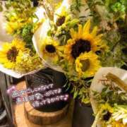 ヒメ日記 2026/08/19 16:47 投稿 山口 萌 プルプルオフィスディーバ