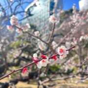 ヒメ日記 2024/03/08 16:40 投稿 ひめ やまとなでしこ桜組