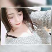 ヒメ日記 2025/01/04 16:32 投稿 てん 川越ぽちゃまに