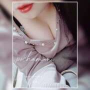 ヒメ日記 2025/01/26 15:52 投稿 てん 川越ぽちゃまに