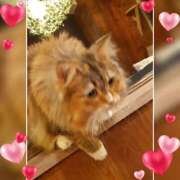 ヒメ日記 2025/01/27 20:02 投稿 てん 川越ぽちゃまに