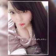 ヒメ日記 2025/01/29 19:52 投稿 てん 川越ぽちゃまに