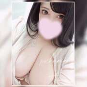 ヒメ日記 2025/02/15 12:52 投稿 てん 川越ぽちゃまに