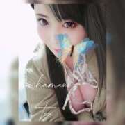 ヒメ日記 2025/03/14 16:12 投稿 てん 川越ぽちゃまに