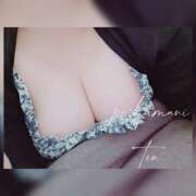 ヒメ日記 2025/04/27 00:32 投稿 てん 川越ぽちゃまに