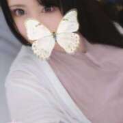 ヒメ日記 2025/07/20 11:52 投稿 てん 川越ぽちゃまに