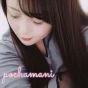 ヒメ日記 2026/03/27 10:44 投稿 てん 川越ぽちゃまに