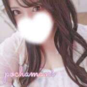 てん 会う度濃くなっていく楽しみ🐰💕 川越ぽちゃまに