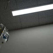 ヒメ日記 2025/02/05 14:19 投稿 一ノ瀬愛美 横浜プロダクション