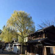 ヒメ日記 2025/12/20 13:12 投稿 一ノ瀬愛美 横浜プロダクション