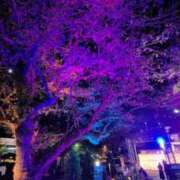 ヒメ日記 2026/01/14 14:56 投稿 一ノ瀬愛美 横浜プロダクション