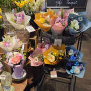 ヒメ日記 2026/01/21 17:10 投稿 一ノ瀬愛美 横浜プロダクション