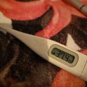 一ノ瀬愛美 ﾁ───(´-ω-｀)───ﾝ 横浜プロダクション