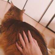 ヒメ日記 2024/12/10 07:54 投稿 ゆうき 小岩人妻花壇