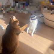 ヒメ日記 2024/12/20 09:47 投稿 ゆうき 小岩人妻花壇