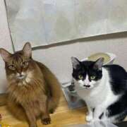 ヒメ日記 2024/12/26 08:02 投稿 ゆうき 小岩人妻花壇