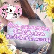 ヒメ日記 2025/02/04 21:09 投稿 ゆうき 小岩人妻花壇