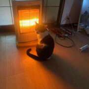 ヒメ日記 2025/02/08 07:08 投稿 ゆうき 小岩人妻花壇