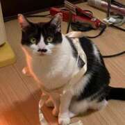 ヒメ日記 2025/02/08 14:52 投稿 ゆうき 小岩人妻花壇