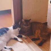 ヒメ日記 2025/02/22 09:20 投稿 ゆうき 小岩人妻花壇