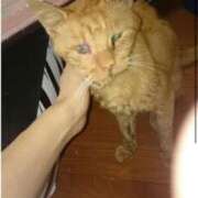 ヒメ日記 2025/02/22 15:08 投稿 ゆうき 小岩人妻花壇