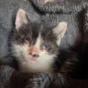 ヒメ日記 2025/02/22 15:16 投稿 ゆうき 小岩人妻花壇