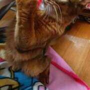 ヒメ日記 2025/02/22 16:04 投稿 ゆうき 小岩人妻花壇