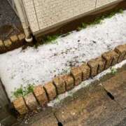 ヒメ日記 2025/03/19 09:10 投稿 ゆうき 小岩人妻花壇