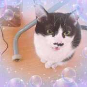 ヒメ日記 2025/05/30 09:33 投稿 ゆうき 小岩人妻花壇