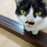 ヒメ日記 2025/07/22 09:22 投稿 ゆうき 小岩人妻花壇