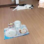 ヒメ日記 2025/07/29 17:14 投稿 ゆうき 小岩人妻花壇