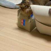 ヒメ日記 2025/07/30 10:13 投稿 ゆうき 小岩人妻花壇