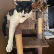 ヒメ日記 2025/08/01 01:40 投稿 ゆうき 小岩人妻花壇