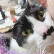 ヒメ日記 2025/08/02 15:54 投稿 ゆうき 小岩人妻花壇