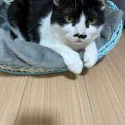 ヒメ日記 2025/09/14 13:54 投稿 ゆうき 小岩人妻花壇