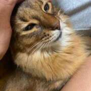 ヒメ日記 2025/09/14 14:10 投稿 ゆうき 小岩人妻花壇