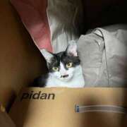 ヒメ日記 2025/09/14 20:14 投稿 ゆうき 小岩人妻花壇