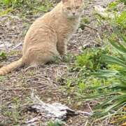 ヒメ日記 2025/09/16 09:14 投稿 ゆうき 小岩人妻花壇