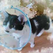 ヒメ日記 2025/09/21 07:23 投稿 ゆうき 小岩人妻花壇