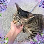 ヒメ日記 2025/10/08 16:51 投稿 ゆうき 小岩人妻花壇