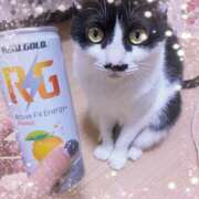 ヒメ日記 2025/10/13 00:08 投稿 ゆうき 小岩人妻花壇