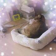 ヒメ日記 2025/10/26 01:42 投稿 ゆうき 小岩人妻花壇