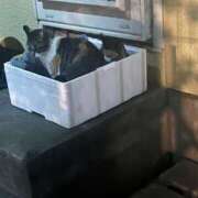 ヒメ日記 2025/11/15 09:43 投稿 ゆうき 小岩人妻花壇