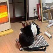 ヒメ日記 2025/12/31 11:15 投稿 ゆうき 小岩人妻花壇