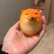 ヒメ日記 2026/01/31 09:45 投稿 ゆうき 小岩人妻花壇